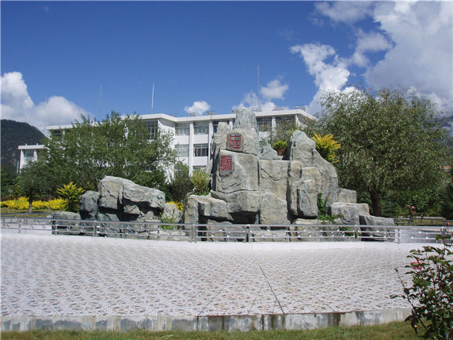 假山假树